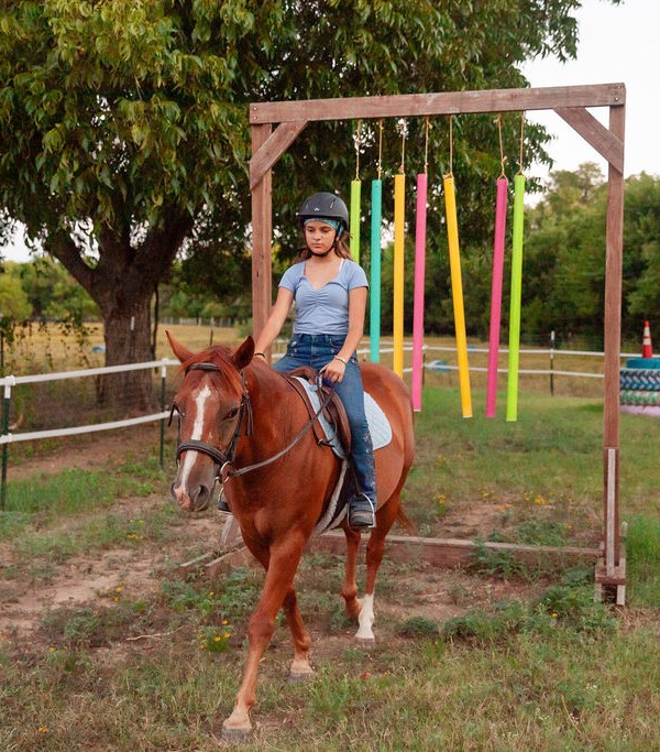 TRFEC Why Choose photo (portrait) Rider on a horse at Trinity River Farm and Equestrian Center