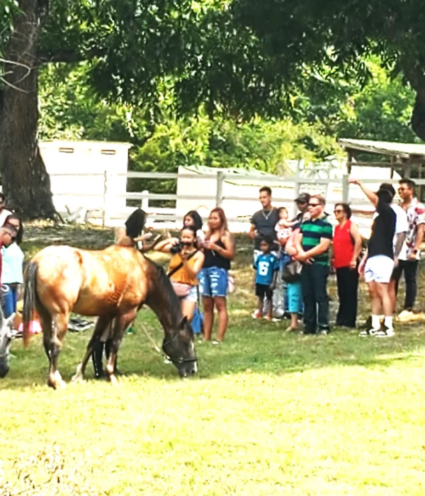 trf-welcome-horses-1 Trinity River Farm