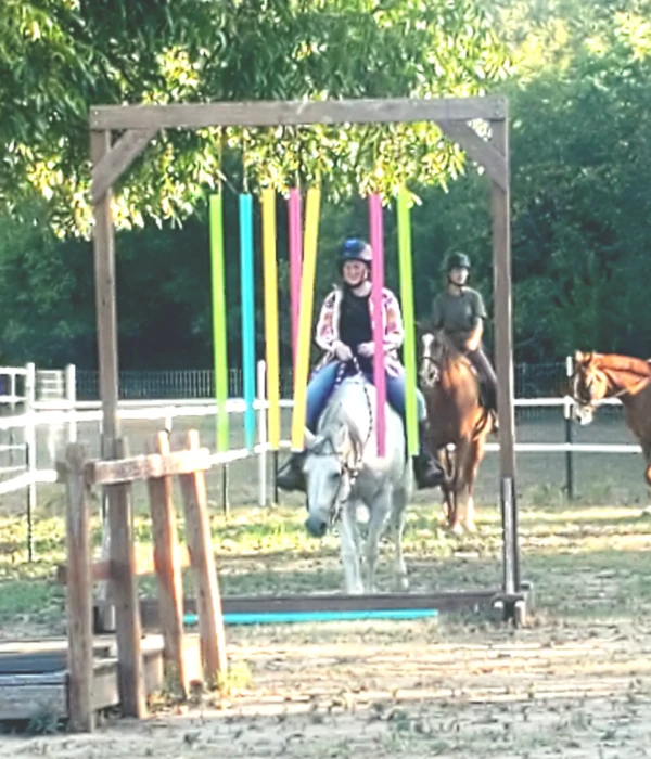 trf-welcome-obstacle-2 Trinity River Farm